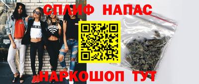 дмт Будённовск