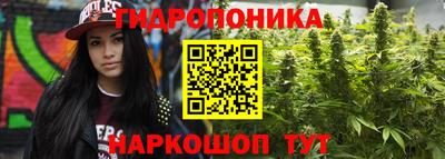 прущие грибы Бугуруслан