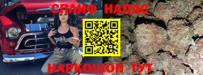 дмт Будённовск
