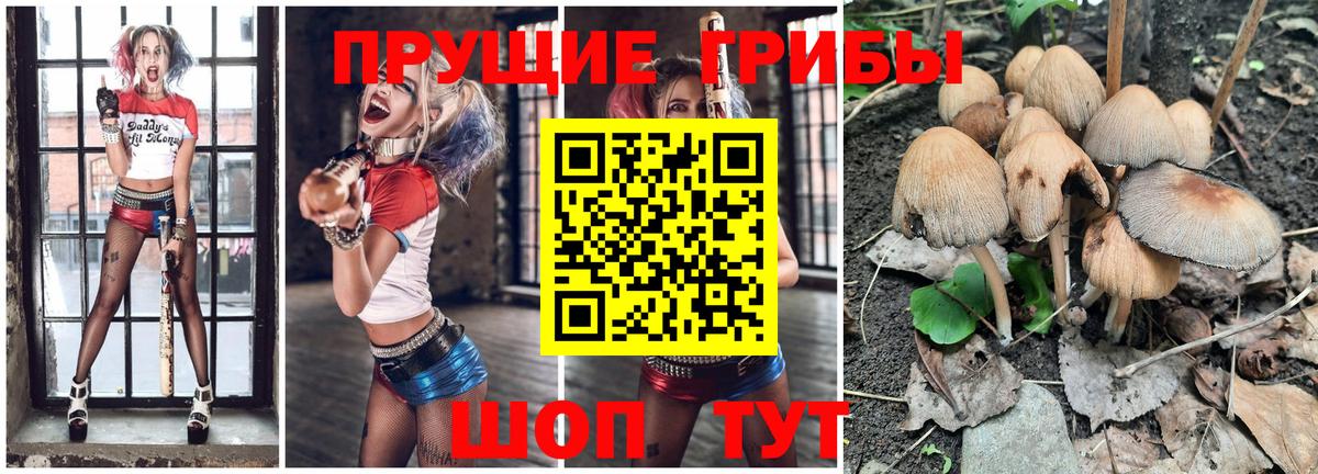 Галлюциногенные грибы GOLDEN TEACHER  Вход с VPN  Урай 